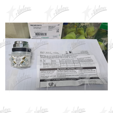Antares SCHNEIDER PUSH BUTTON 9001KR1GH13