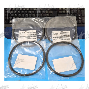 Antares HITACHI O-RING 59007900